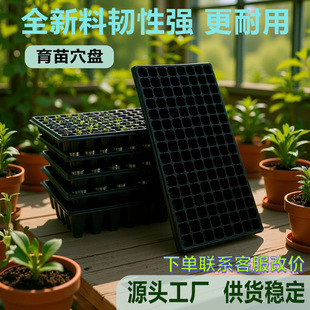 ���lѨ�P ������� ��ľ�����߲������� �бP�I�B�����籭 ����P