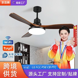 风扇灯;吸顶灯;成套灯具
