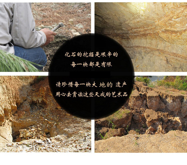 22077316485_578835722