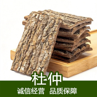 ������ș�� ����Ƥ ���ٲ� ���ٺ�Ƥ��Ƥ�ݾƷ�Ұ���������ݲ�