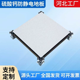 钢地板;铝天花;防静电板