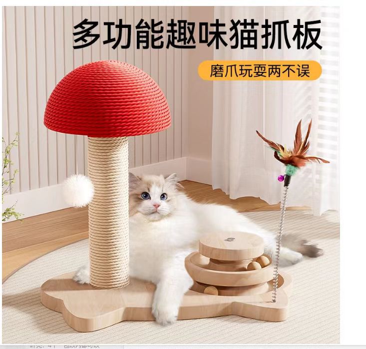 고양이 머리 턴테이블