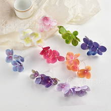 ָз滨~ݻ^zƬmٻl仨^ٻ^