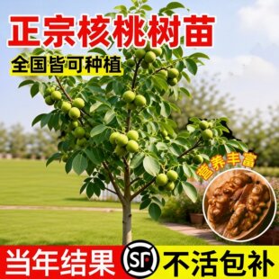 ���Ҙ���箔��Y����Ʒ�N�޽Ә��m�ϱ����ļ��NֲͥԺ����Թ���