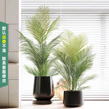 �҃ȼҾ��b������ɢβ�����Ա��WINS�W�t���b�ꙻ������Gֲ