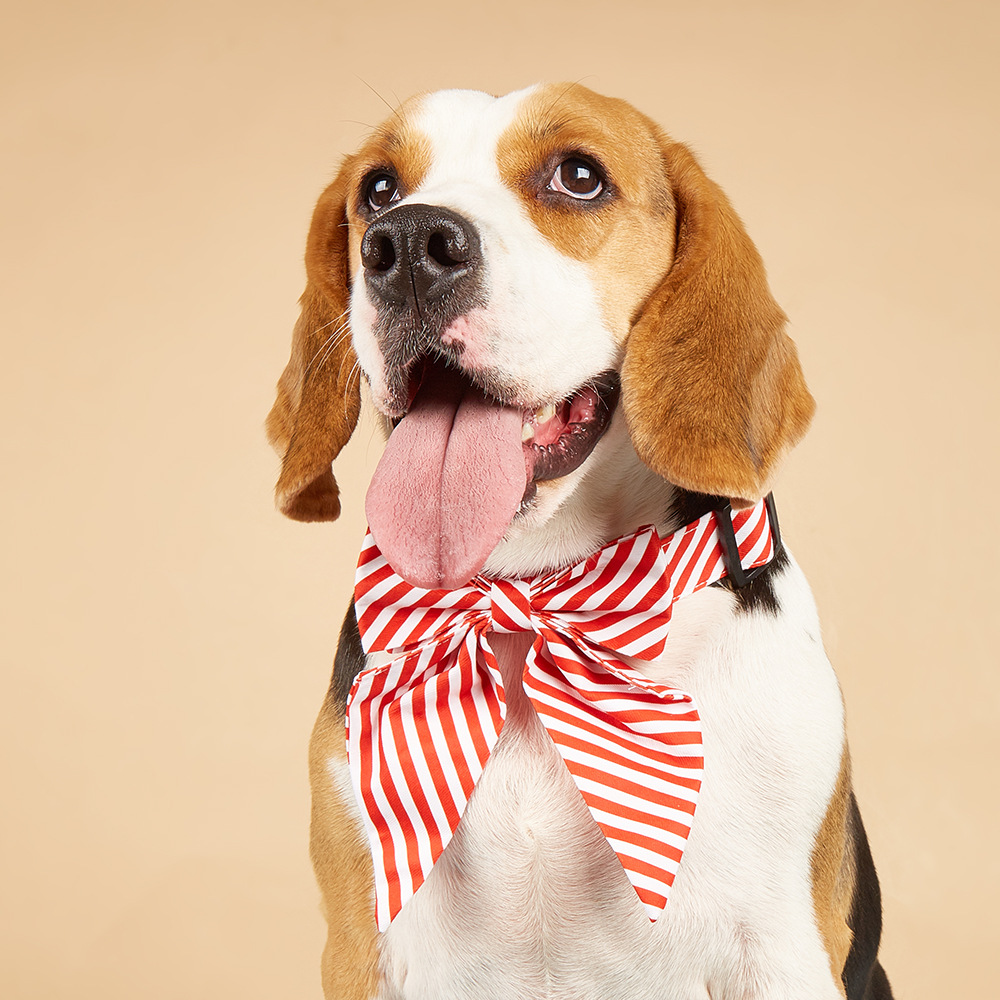 TANPOPO en stock nuevo transfronterizo para collar de perro corbata de perro ropa de mascotas collar de mascotas de Navidad