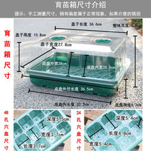 ��ͥ�@ˇ�������̖���w�׿�Ѩ�P����Ǥ��ֲ�ﲥ�N���琞�B��