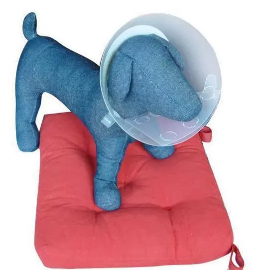 伊丽莎白圈 宠物防舔防咬防抓圈 绝育防护罩狗猫项圈狗脖套耻辱圈