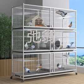 p飞鸽子笼大型养鸽子专用笼三层加密鸽笼专业养殖笼家用种鸽配对