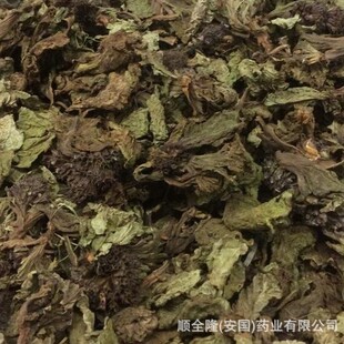 �в�ș  ��һζ ����GMP�J�C��I�S��ֱ�N���l���� ���ϸ��C�|�z