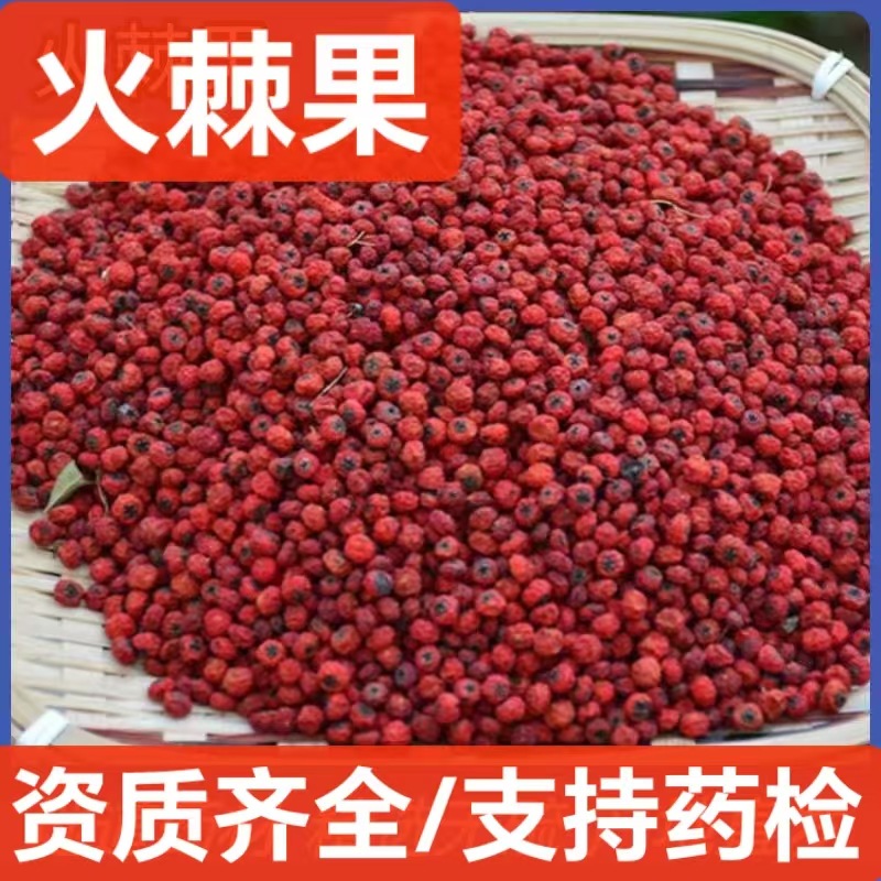 火棘果 中药材新货火棘子火把果救兵粮救军粮赤阳子 支持药检