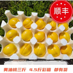 ����S�������r��ժ���S�������Ӵ����֭�S��������S���]
