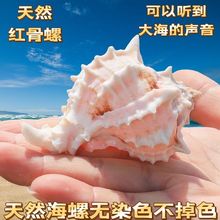 ؐ����ۼt���� �L���ݶ��⻨���~���쾰��ؐ�~�ľ�з��Q��