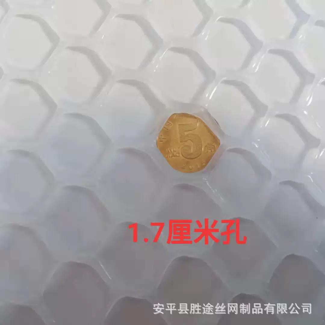 黑色养鸡网过滤塑料网水产养殖网养鸭网育苗网养蜂养蚕拦鸡网厂家