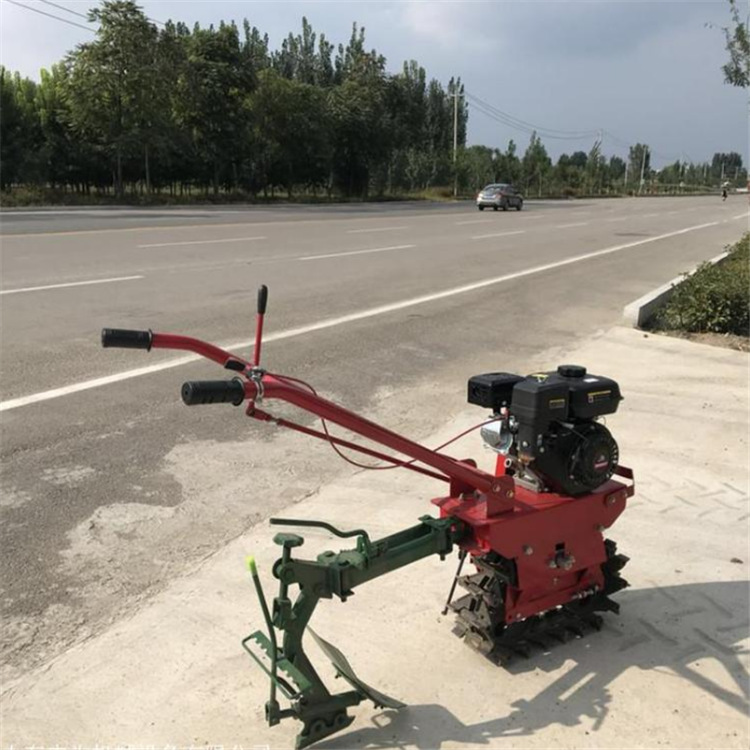 arado rotativo diesel refrigerado por aire tipo gasolina agrícola arado de cadena de montaña microtráquel ligero