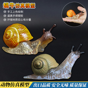 �������x����΁ţ���Lģ����ߌ����b[���ƽ����J֪��ͯ�Y��