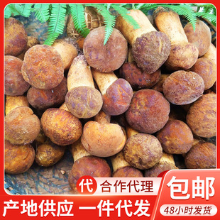 ��ϸ�ԭ�خaҰ���Sţ�ξ� ���r�Sه�^ �S���^ɽ؛ Ģ��2����]