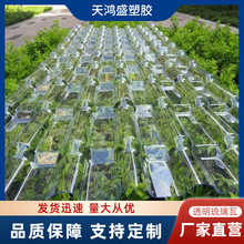 ����䓲ɹ��߲ɹ��frp͸�������ꖹ��ꖹⷿ͸���ɹ���Ƭ