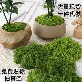 仿真绿植;仿真花;仿真藤条
