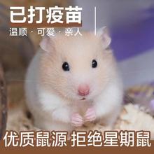 ��z�܂}����﹫�����ܻ��wһ��һĸ���B��z�ܻ��w����