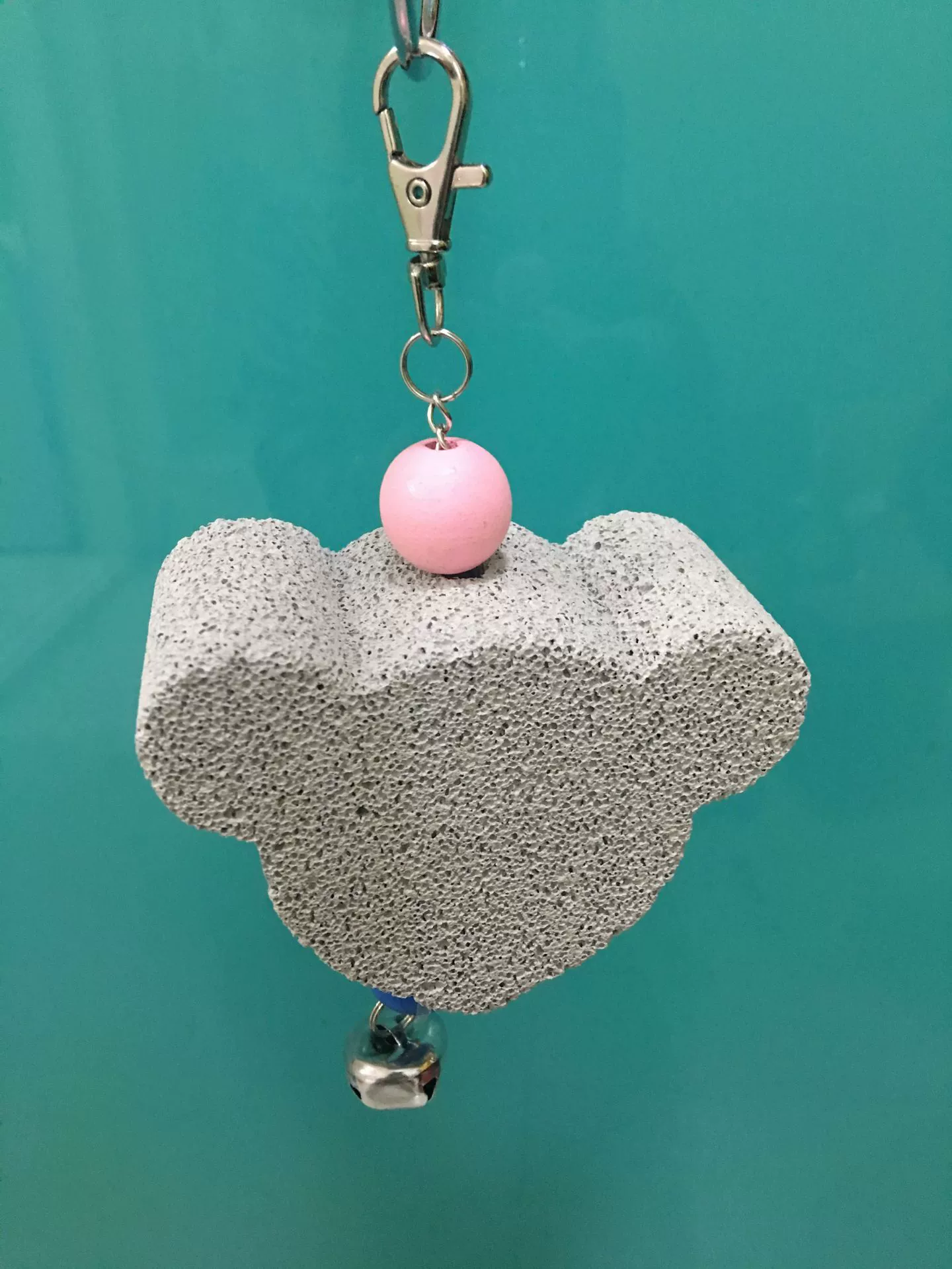 Домашние животные моляры маленькие попугаи кусают минералы