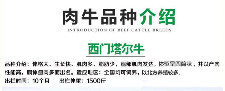 12680274707_1776031263