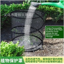 亚马逊园林弹出式植物罩昆虫保护罩蔬菜花朵防护罩花园育苗植物网