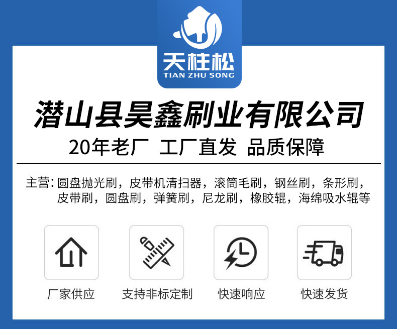 钨钢合金清扫器_01.jpg