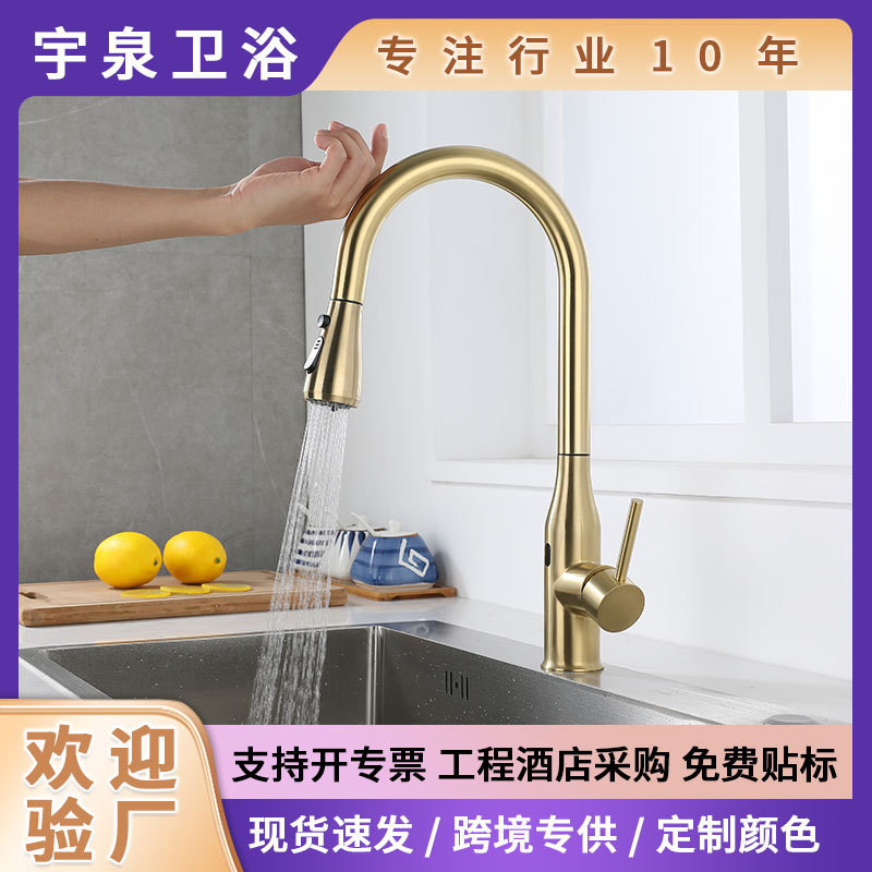 Golden Kitchen Stainless Steel Sink Pull Type Spray Head Vegetable Washing Basin Smart Touch Foreign Trade Kitchen Touch Faucet