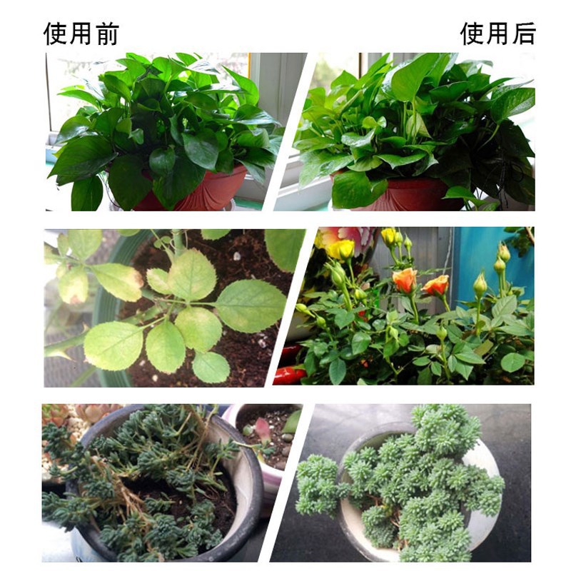 O1CN01ItwUb92BRwIibdQKq_!!2209