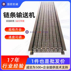 链条输送机板材链式传送带倍速链条运输机广东17年流水线工厂店