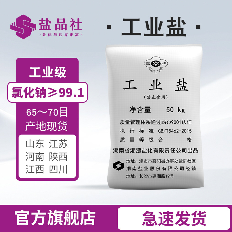 湖南雪牌精制工业级工业盐厂家现货50KG装氯化钠99以上 工业盐