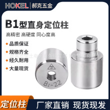 精密直导柱B1型模具定位柱吹气模瓶模导柱导套圆柱形定位销直身