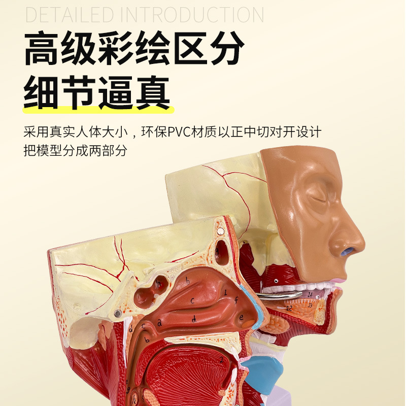 �ǡ��ڡ��ʡ���ǻģ�� �ʼ� ͷ������ǻ����ʸ״����­�Ǳ��и���