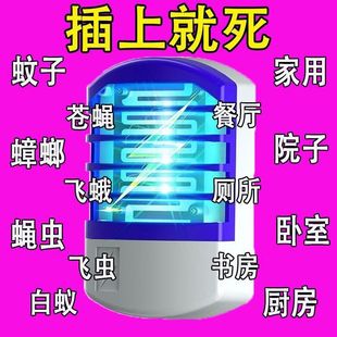 �������ß�2025�M���¿������������ȫ�ԄӲ��ʽ�{������ß�