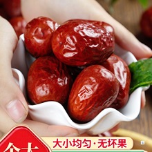 �ؼ��½������2024��؛�ٷ���Ş�����E�����خaһ���t���Ӹ�؛