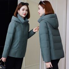 ��������q��Ů�̿�С���ӼӺ������˱�ů�r�Ћ����b���׳�