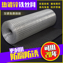 �Bֳ�W�����̨���o�W����\�F�z�W���@����䓽z�W�o��늺��W���x