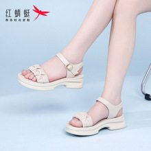 红蜻蜓女鞋白色运动厚底夏天沙滩鞋老爹仙女凉鞋女款2024新款夏季