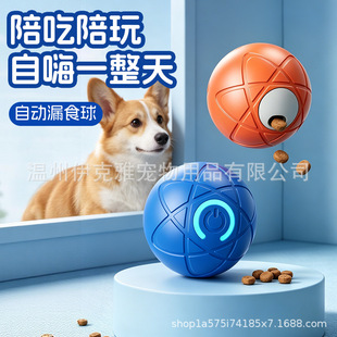 ���ܶ���©ʳ������늄ӿ羳������Ʒ؈����߽␞�����������