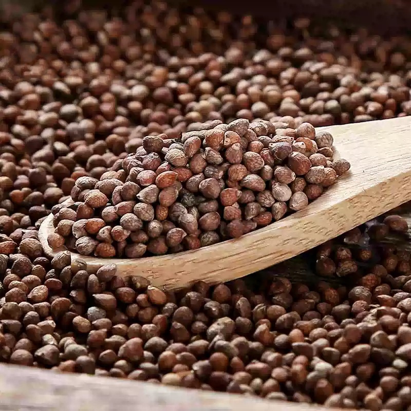 Perilla Seed Zi Su Zi 500g Dried Fructus Perillae for Tea Wine and Culinary Use quality and texture