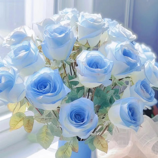 ������{���^õ�塿���r�r���������fͬ�������������ֱ�lˮ�B��