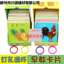 教卡水果卡片婴儿图册图片0-3岁幼儿识字识物早宝宝认识动物早教