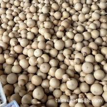 2025��؛����Jͨ؛�S�����l������湤ˇƷ�[��ԭƤ���Jһ��؛Դ