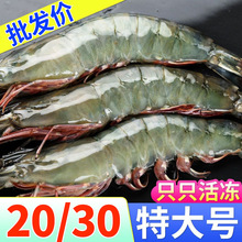 �������r�������r�r��ˮ���r���a�r�r�����������r���r���r