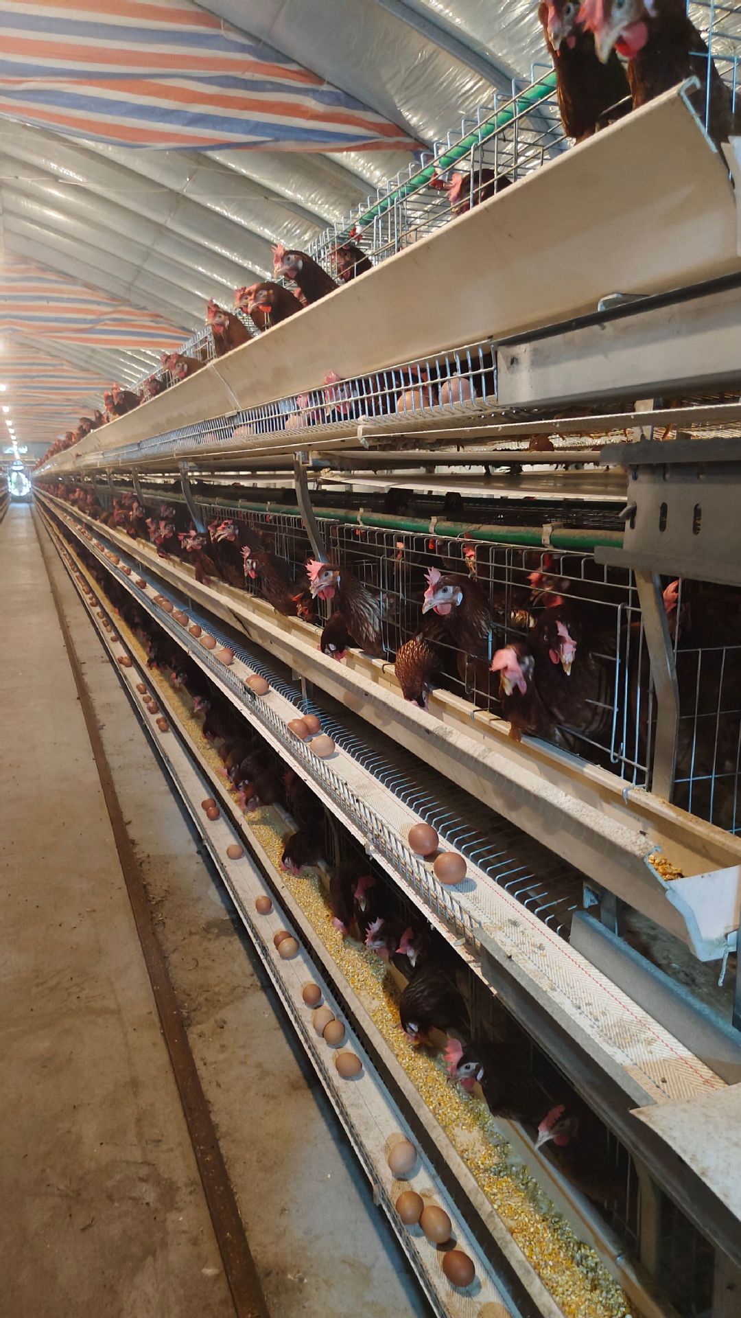 微信圖片_20241023083146