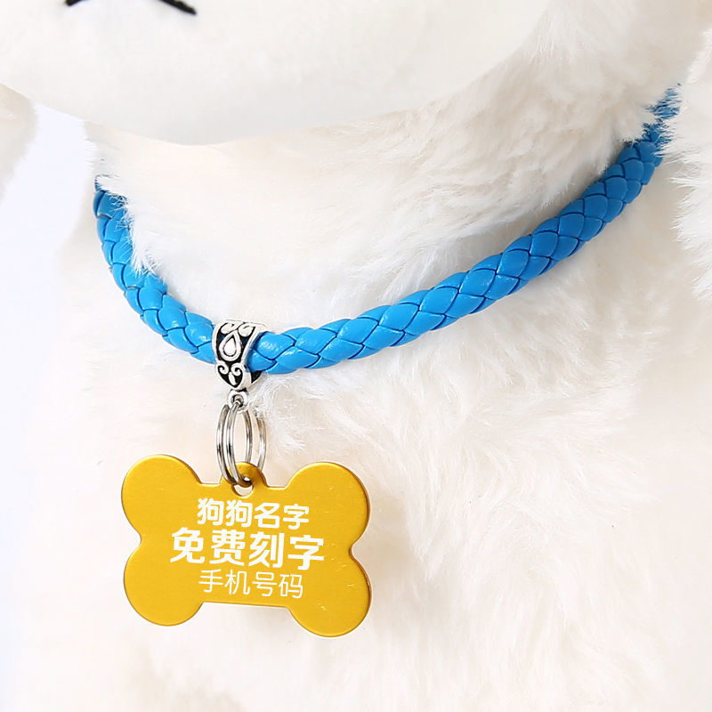 파란색 가죽 칼라 [벨 없음]