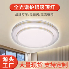 ���ҟ�2026���¿����Գ������g�����s�F�����߾W�t�͏dled��픟�