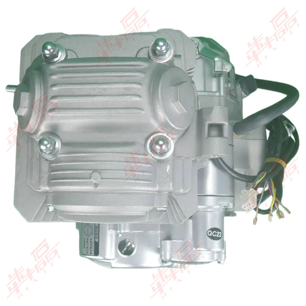 Benlei Cb250-F Cb300-F Zs172Fmm Zs175Fmm Off-Road Motorcycle Engine Assembly