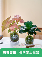 ̦�\��ֲ�����~�������҃��k��������Gֲ�͏d�����ļ���ꎺ��B��